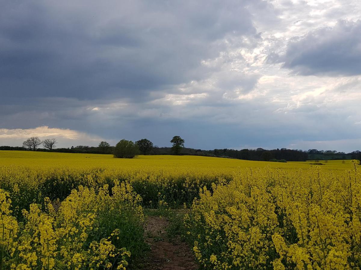 Ferienwohnung In Ostseenaehe Grevesmuhlen Εξωτερικό φωτογραφία